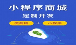 微信小程序開發、商城(chéng)小程序開發功能-安菲科技軟件開發